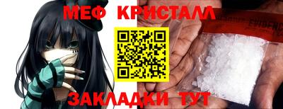 прущие грибы Абакан