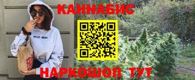 прущие грибы Балаково