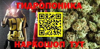 прущие грибы Балаково