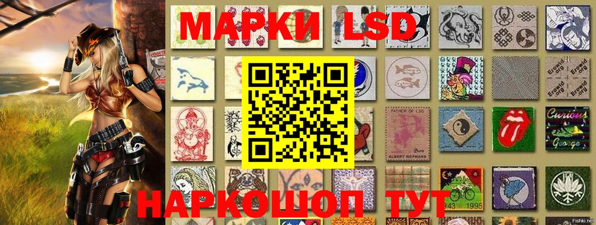 Канаш  Марки N-bome 1,8мг  Вход с VPN 