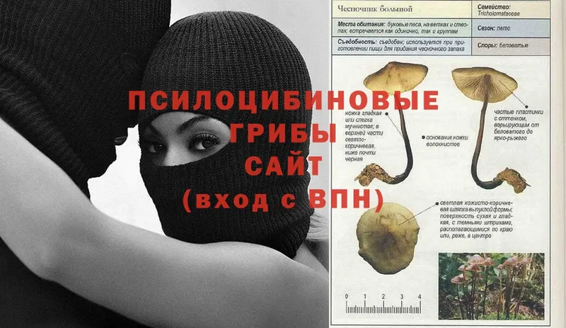 Галлюциногенные грибы Cubensis  Канаш 