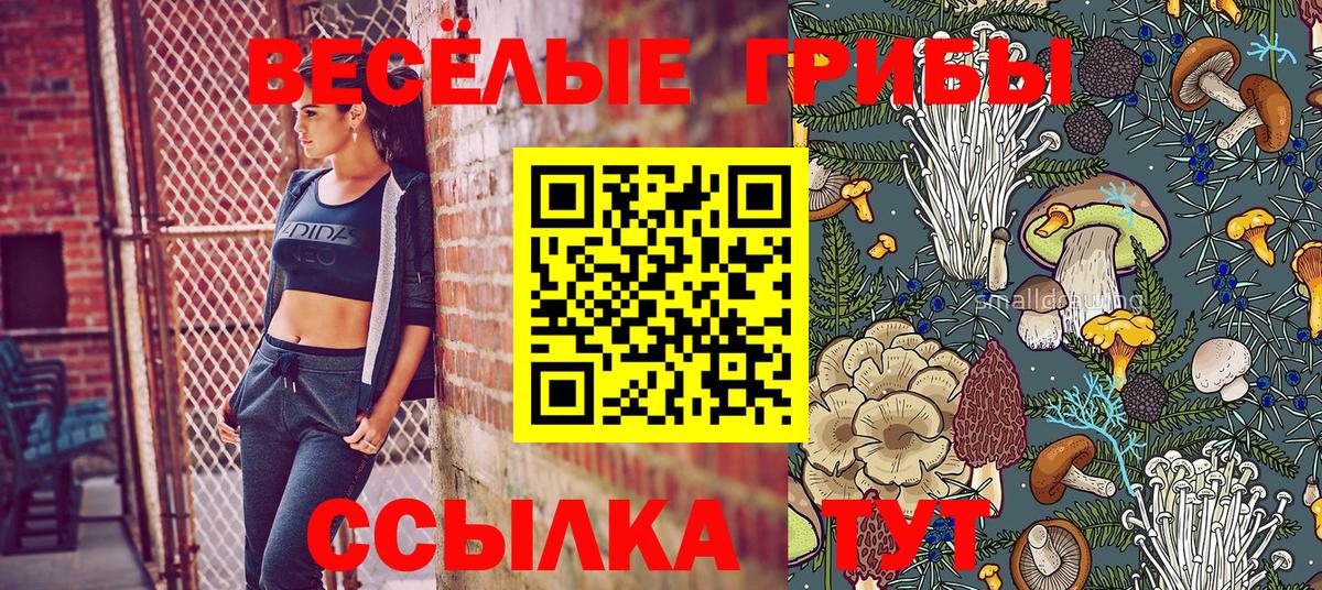 сколько стоит  Канаш  Псилоцибиновые грибы мухоморы 