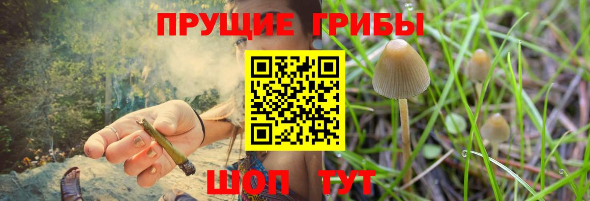 Псилоцибиновые грибы прущие грибы Канаш